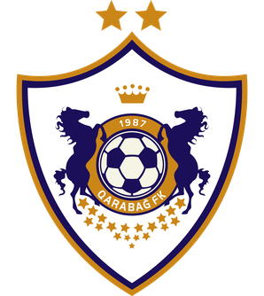 home team logo